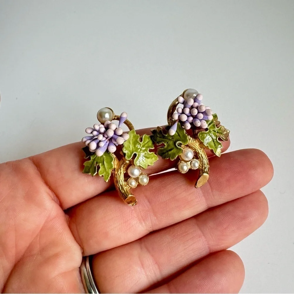 Florenza vintage grape
